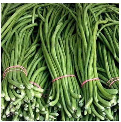 DEYS AGRO ™ High Yield long beans seeds,barbati|borboti vegetable Seed(22 per packet)