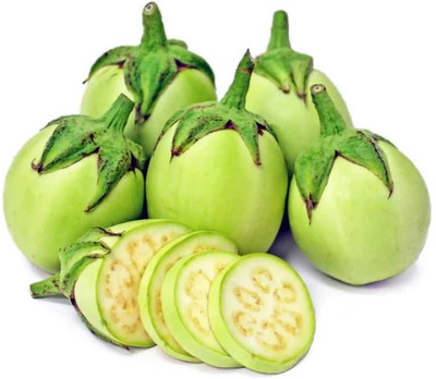 UGRA Brinjal Seed(1500 per packet)