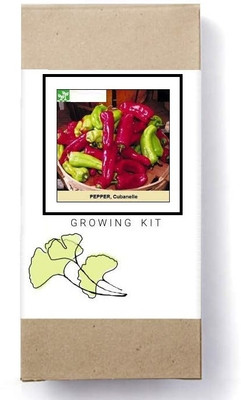 Biosnyg Cubanelle Chilli Pepper Seed(250 per packet)