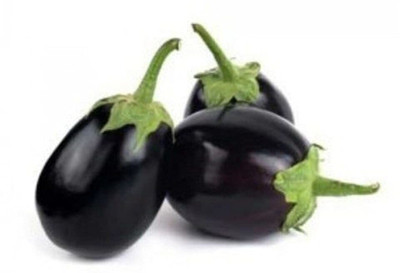 LPR brinjal Seed(100 per packet)