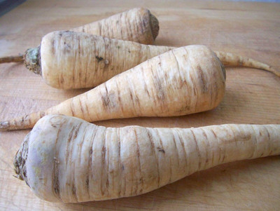Qualtivate LXI-194 Parsley Sugar Root Seeds Seed(500 per packet)