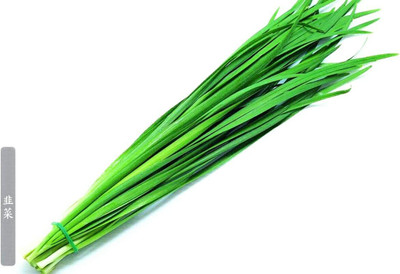 KNESSiN Chive Seed(1250 per packet)