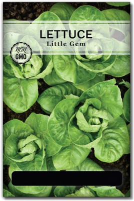 Quentova Little Gem Lettuce 5gm Seed(4000 per packet)