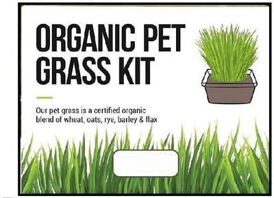 CYBEXIS VVI-4 - Cat Grass Hard Red Winter Wheat - (2500 Seeds) Seed(2500 per packet)