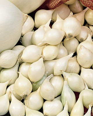 Qualtivate PUA-9A Onion White Seeds Seed(500 per packet)