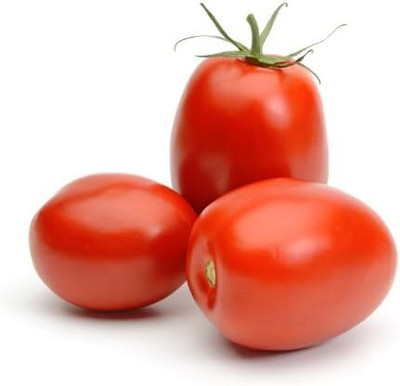 KNESSiN Tomato Roma VF Seed(500 per packet)
