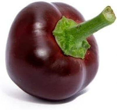 KNESSiN Fast Growing Chocolate Cherry Hot Pepper Seeds For Planting-(1200 Seeds) Seed(1200 per packet)