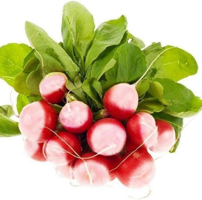 KNESSiN Redish Round Red Seed(1250 per packet)