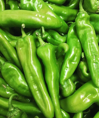 KNESSiN High Yield Big Jim Green Pepper Seeds For Gardening-(600 Seeds) Seed(600 per packet)