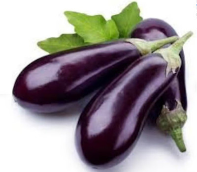 UGRA Brinjal Seed(2000 per packet)