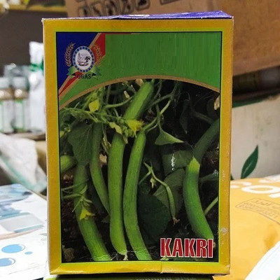 CYBEXIS ATS-67 - Hybrid Long Melon - (1350 Seeds) Seed(1350 per packet)