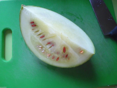 Qualtivate KXL-9AT Watermelon ~ Red Seeded Citron Seed(100 per packet)