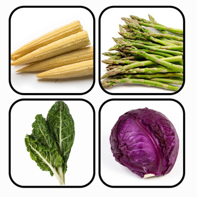 CYBEXIS Combo Pack Of 4 Exotic Vegetable Seeds Seed(10 g)