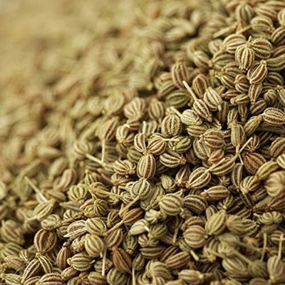 Qualtivate GUA-48 Celery Seeds,Tall Utah 52-70 Seed(500 per packet)