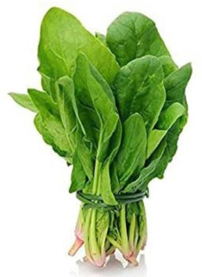 Oliver palak,spinach Seed(85 per packet)