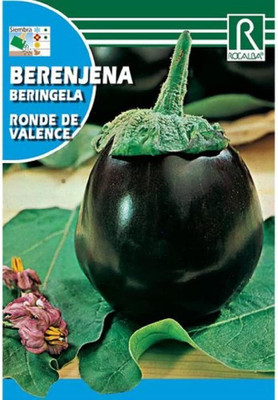 KNESSiN Heirloom Eggplant Ronde of Valence Brinjal ( Seeds) Seed(5000 per packet)