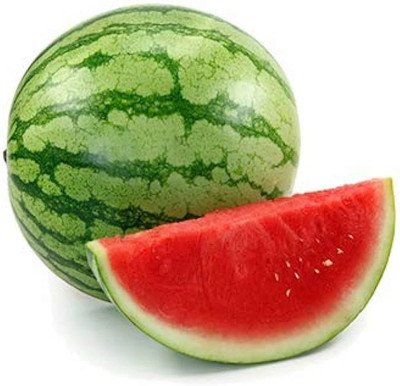 fixeded watermelon seeds for farming/watermelon seed 77 Seed(77 per packet)