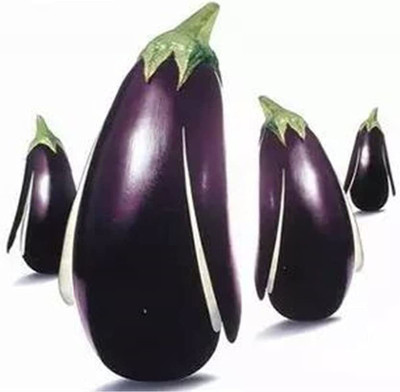 CYBEXIS Organic Black Brinjal Seeds2400 Seeds Seed(2400 per packet)
