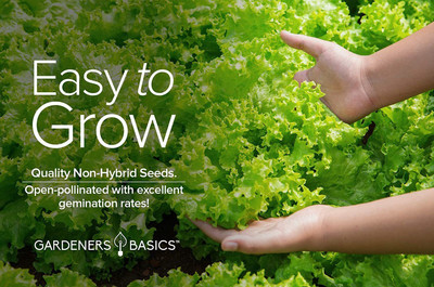 CYBEXIS XLR-23 - Green Leaf Lettuce For Planting - (1350 Seeds) Seed(1350 per packet)