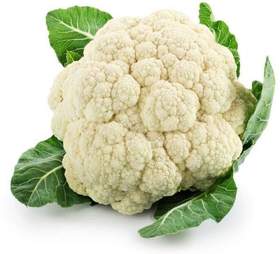 WILLVINE SCI -XII Hybrid F1 Cauliflower [50g, 15000 Seeds] Seed(15000 per packet)