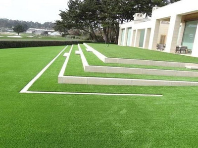 the green dotcom Buffalo grass seeds for lawn PACK OF 3016 Seed(11000 per packet)