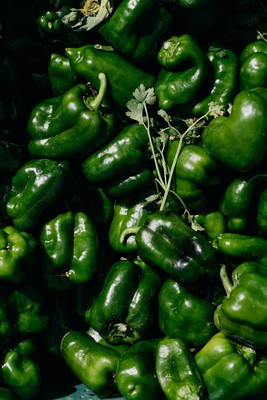 DIVINE CAPSICUM Seed(20 per packet)