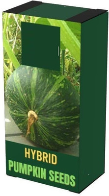 Qualtivate PUA-4A PUMPKIN/KADDU/SEETAFAL SEEDS Seed(50 per packet)