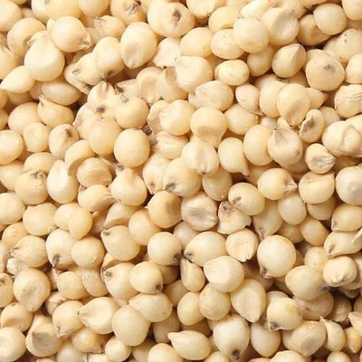 DEYS AGRO ™ goat grass seeds,goat feed grass seed for goat farming,best grass Seed(4300 per packet)