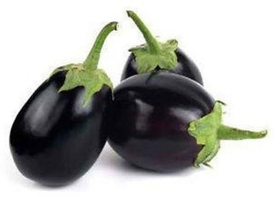 Biosnyg Round Brinjal Eggplant ( Seeds) Seed(1000 per packet)