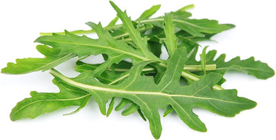 CYBEXIS XL-29 - Arugula Roquette (Rocket) - (750 Seeds) Seed(750 per packet)