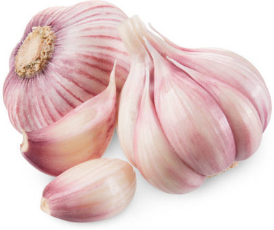 Avysa Garlic Cloves Seed(40 per packet)