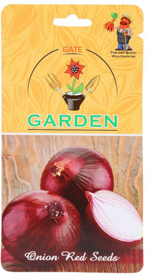 WILLVINE Onion Red Seeds-[5000 Seeds] Seed(5000 per packet)