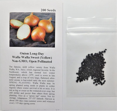 WILLVINE VVI-487 Onion Long-Day Walla Walla Sweet(Yellow)-1500 Seeds Seed(1500 per packet)
