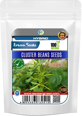 Erwon Hybrid Cluster Beans Seed(10 g)