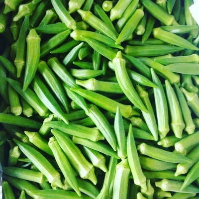 Quentova Spineless Okra Seeds-NTL-2Y Seed(250 per packet)