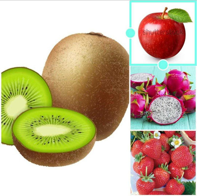 Oliver apple,litchi,kiwi,dragon fruit seeds Seed(116 per packet)