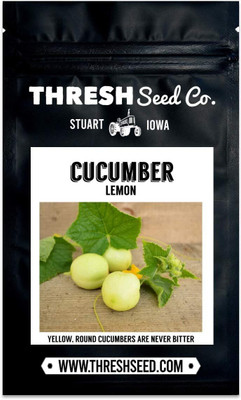 Qualtivate HYB-4A Lemon Cucumber Seeds Seed(300 per packet)