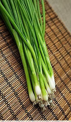 Qualtivate PUAS-5A Green Welsh Onion Bunching Seed(500 per packet)