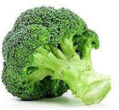 VibeX LX-13 - Diccio Broccoli - (1350 Seeds) Seed(1350 per packet)