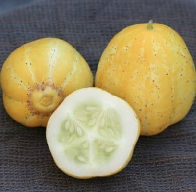 Qualtivate RES-7A Lemon Cucumber Seeds Seed(300 per packet)
