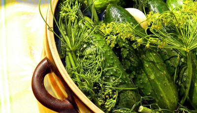 KNESSiN Cucumber Gherkin Pickler Seed(200 per packet)