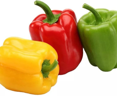 VASUDHA Mixed शिमला मिर्च Capsicum/Shimla Mirch Seed(250 per packet)