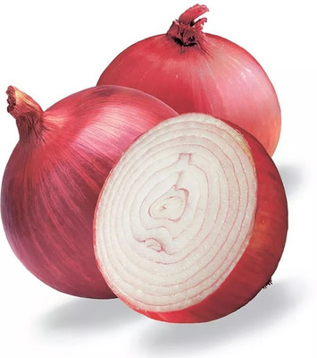 Quentova Onion Yellow Onion-VIC-2C Seed(300 per packet)