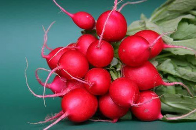 CYBEXIS Hybrid CHERRY BELLE Radish Seeds1200 Seeds Seed(1200 per packet)