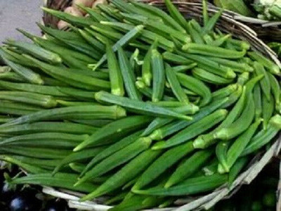 Quentova GREEN OKRA Vegetable Seeds-US-6Y Seed(150 per packet)