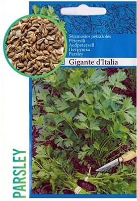CYBEXIS Imported F1 Hybrid Parsley Seeds700 Seeds Seed(700 per packet)