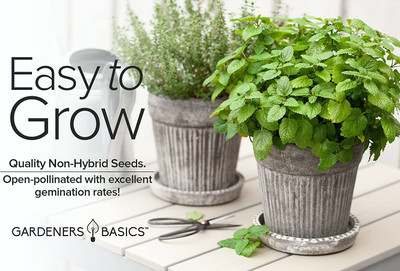 VibeX ® VXI-613 Lemon Balm Seeds(Melissa Officinalis) Seed(200 per packet)