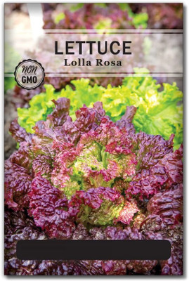 Quentova Lolla Rosa Lettuce 5gm Seed(4000 per packet)