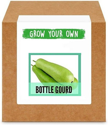 CYBEXIS Lauki/Long Bottle Gourd-100 Seeds Seed(100 per packet)