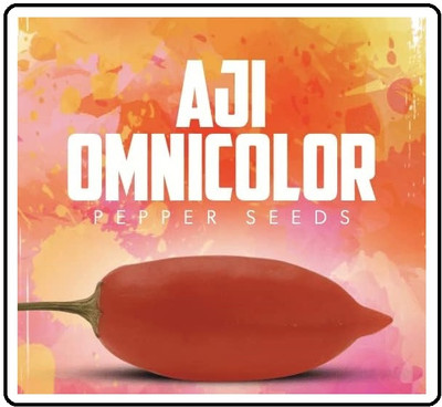 Biosnyg High Germination Aji Omnicolor Pepper Vegetable Seeds for Garden-(400 Seeds) Seed(400 per packet)